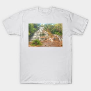 Katoomba Cascades with fern T-Shirt